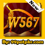 W567 Game